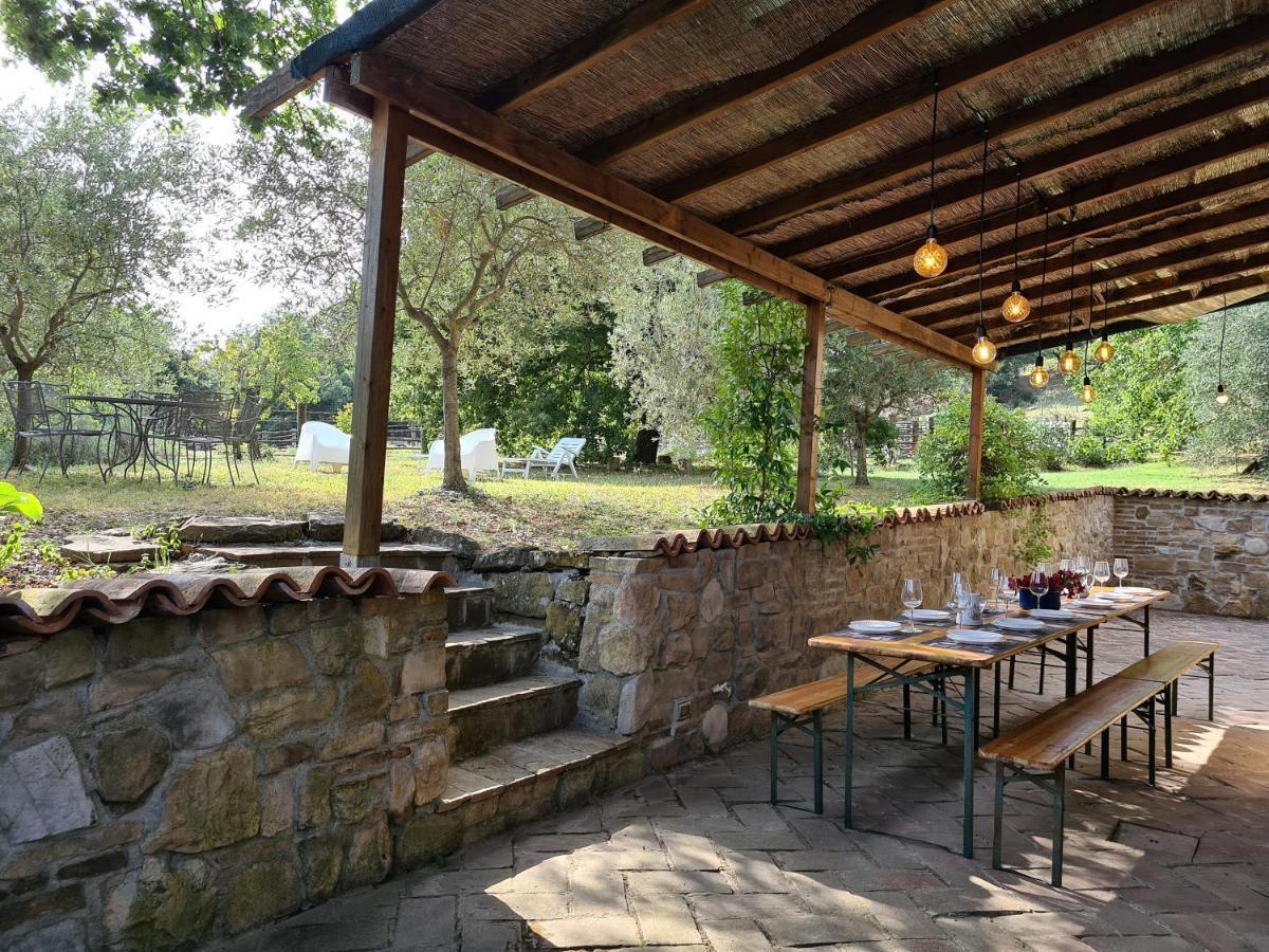 Podere La Zinzinina - Intera * Montecatini Val di Cecina