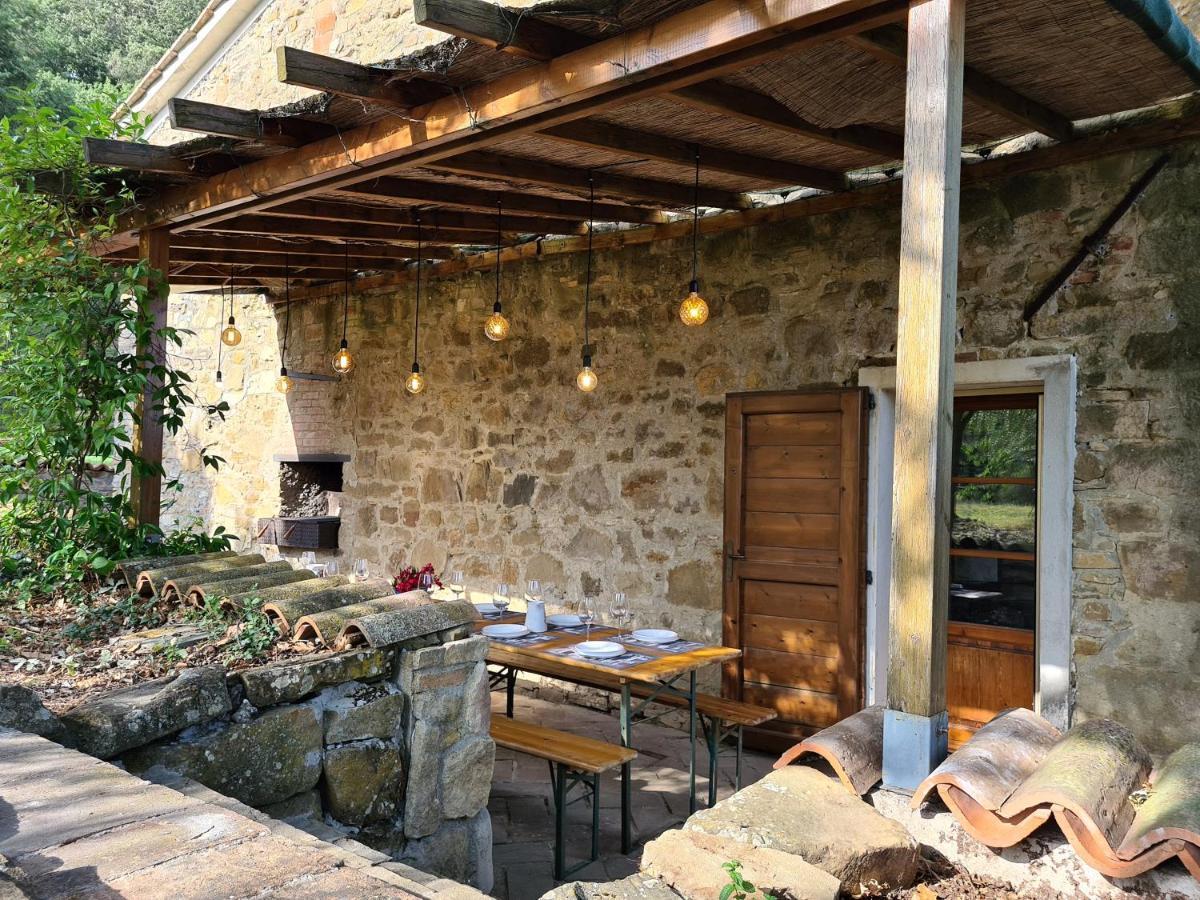 Podere La Zinzinina - Intera * Montecatini Val di Cecina