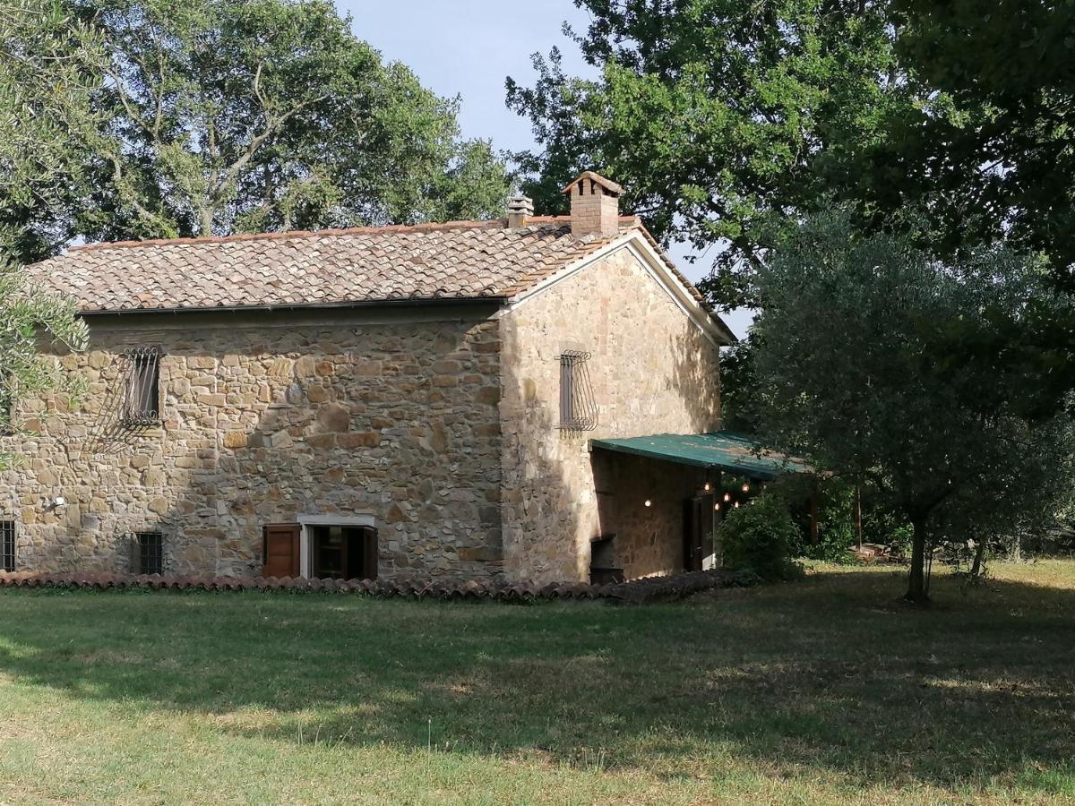 Podere La Zinzinina - Intera Montecatini Val di Cecina